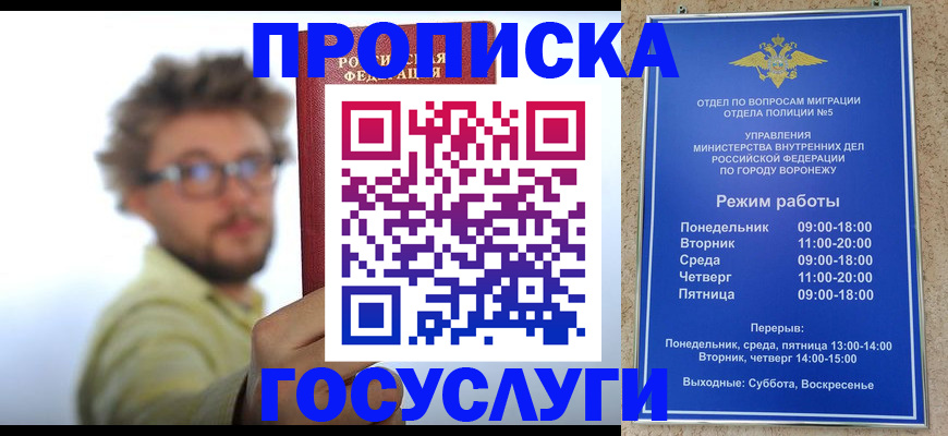 прописка поиск в Солнечногорске